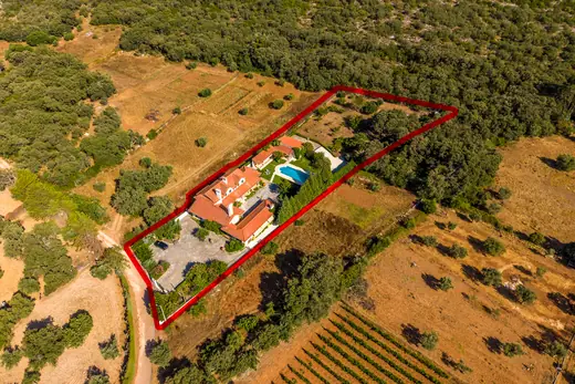 Uma quinta de 7.000 m² a 15 minutos de Fátima, com piscina e água própria — 8