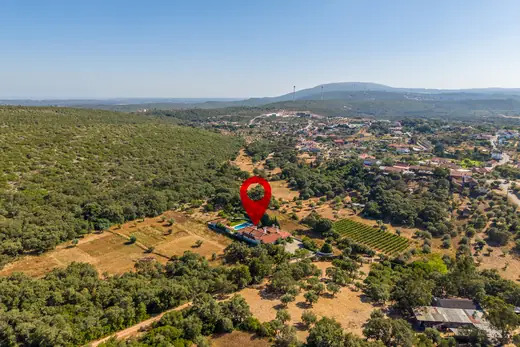 Uma quinta de 7.000 m² a 15 minutos de Fátima, com piscina e água própria — 9
